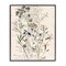 Stupell Industries Vintage Pressed Flowers Framed Giclee Wall Art Design by Carol Robinson